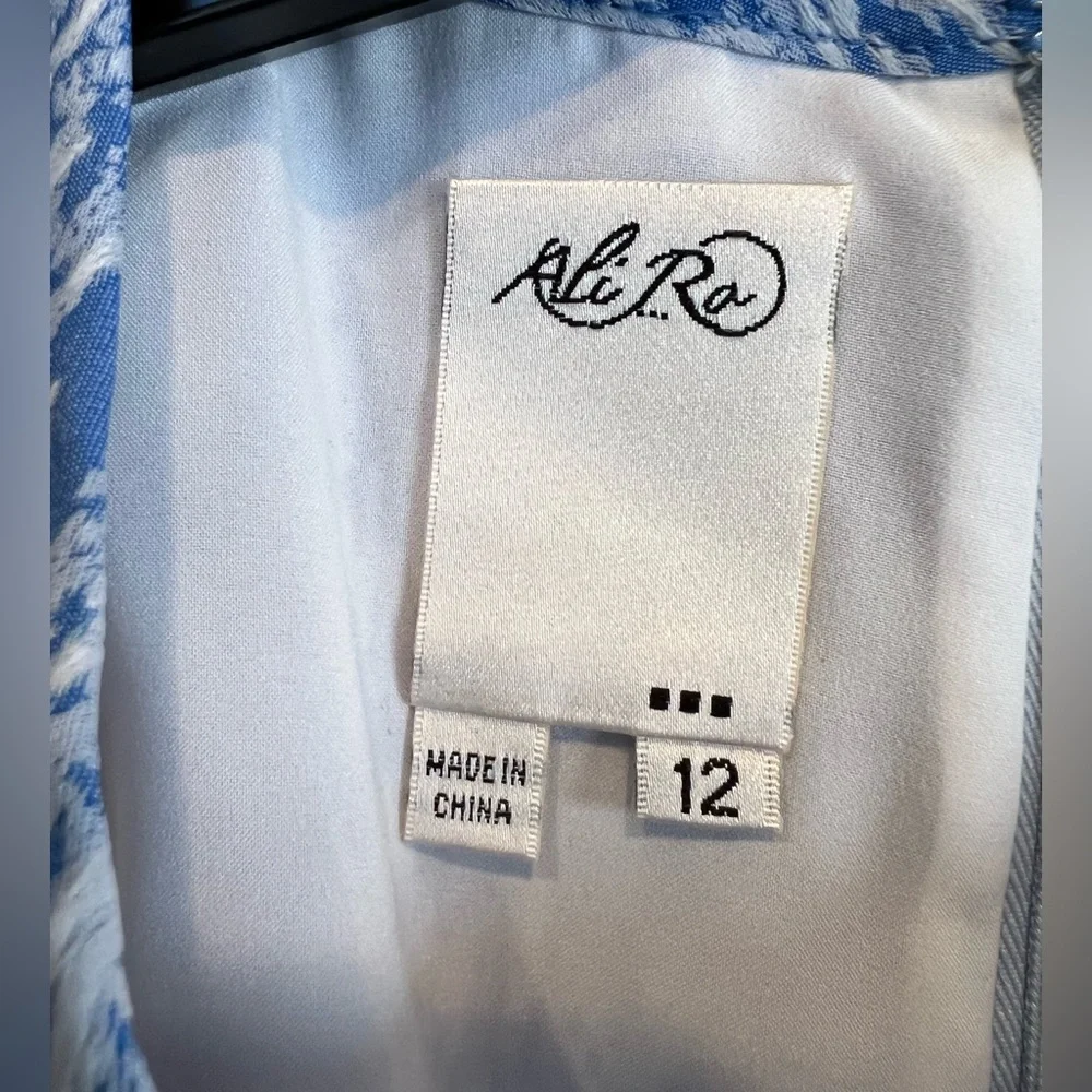 NWT Ali Ro dress Size 12. - Picture 3 of 10